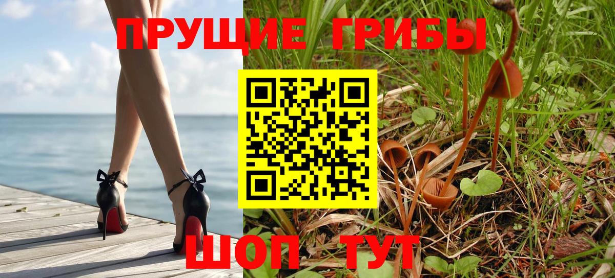 Тобольск  Псилоцибиновые грибы Psilocybe  Вход с VPN 
